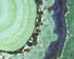 Malachite mineral detail